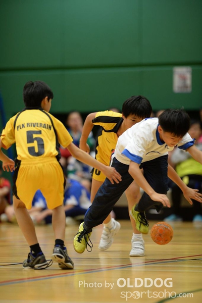 Handball (223)