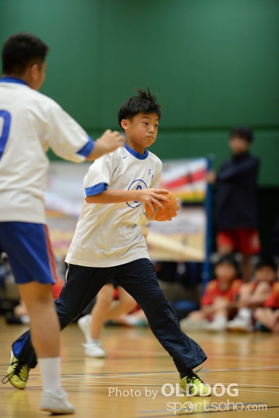 Handball (224)
