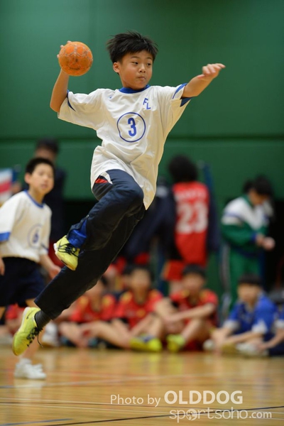 Handball (225)