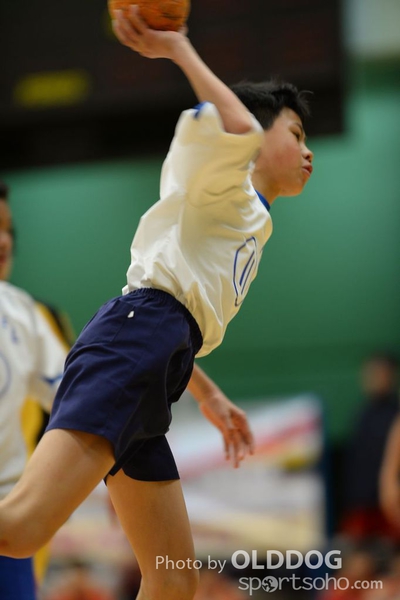 Handball (228)