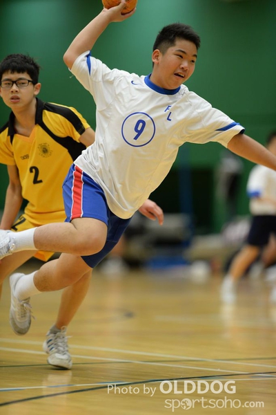 Handball (230)