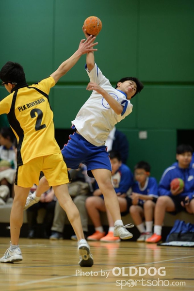 Handball (236)