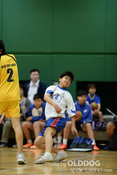 Handball (237)