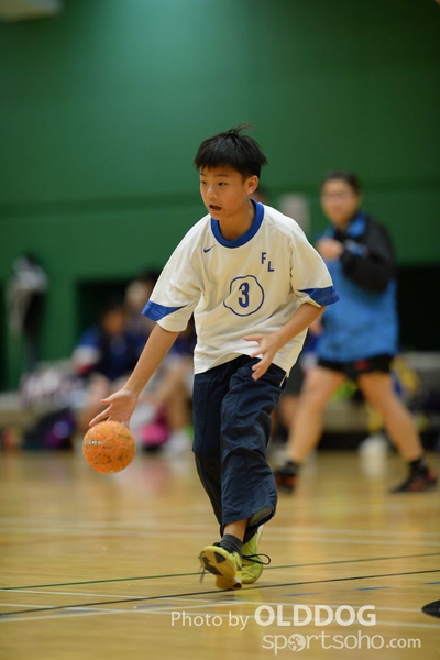 Handball (238)