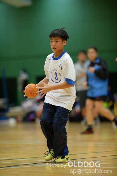 Handball (239)