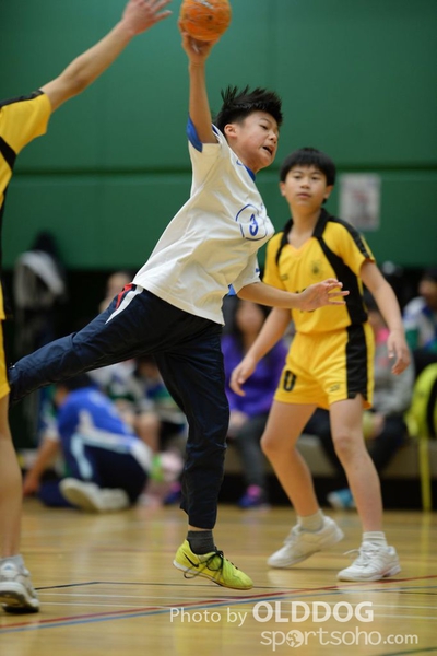 Handball (242)