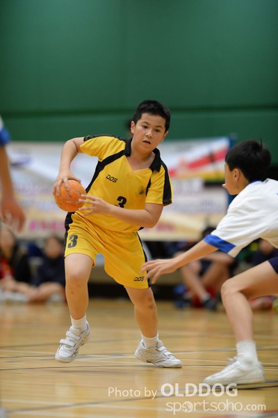 Handball (244)