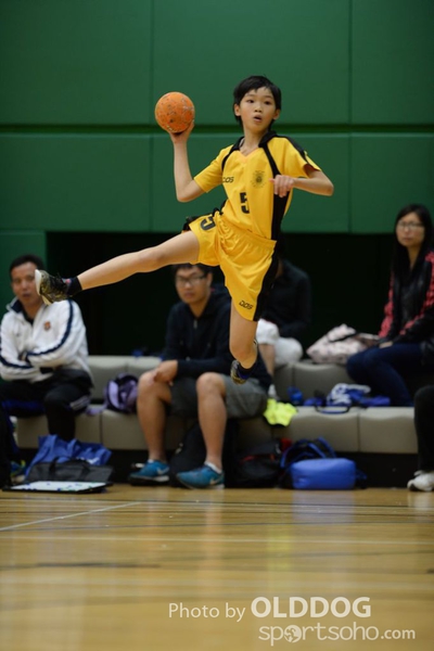 Handball (246)