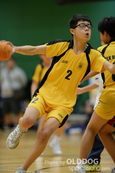Handball (248)