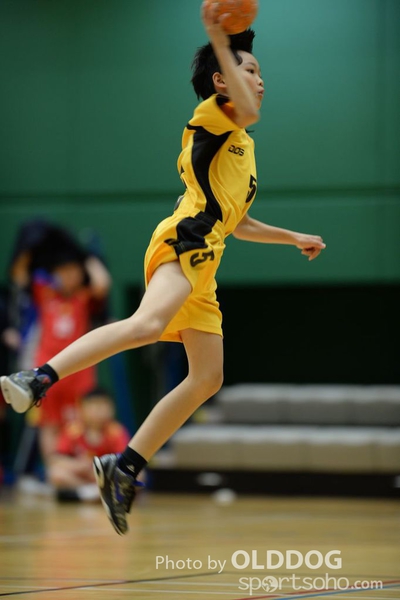 Handball (250)