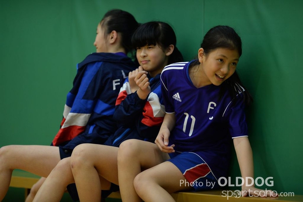 Handball (252)