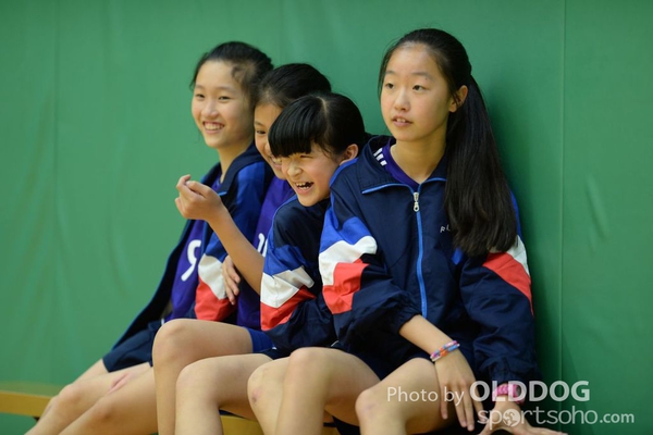 Handball (255)