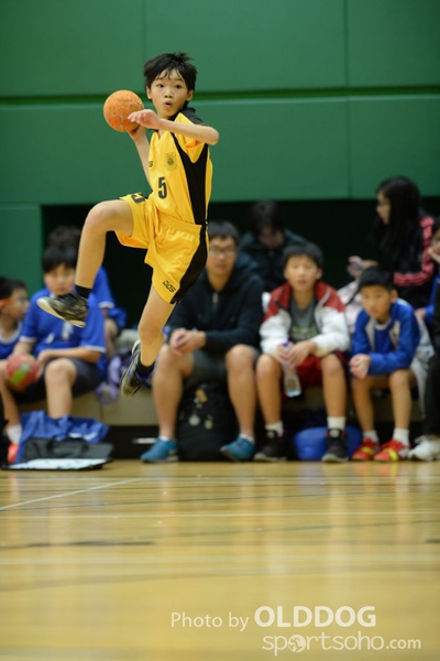 Handball (256)