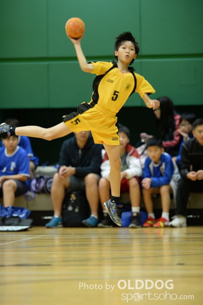 Handball (257)