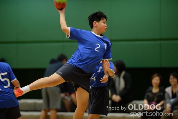 Handball (258)