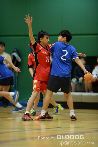 Handball (259)