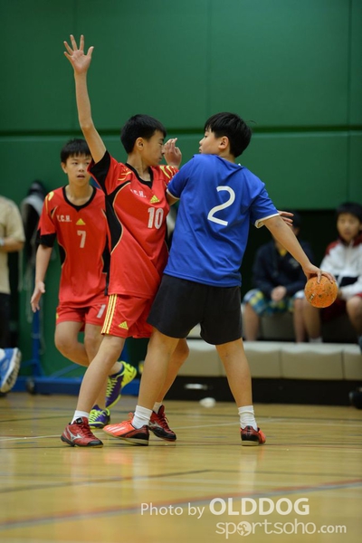 Handball (260)