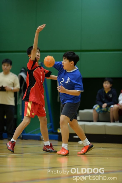 Handball (261)