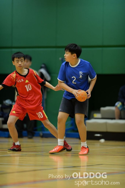 Handball (262)