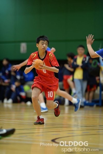 Handball (264)