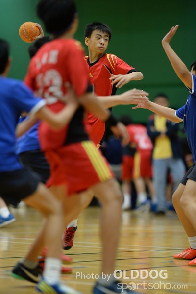 Handball (266)