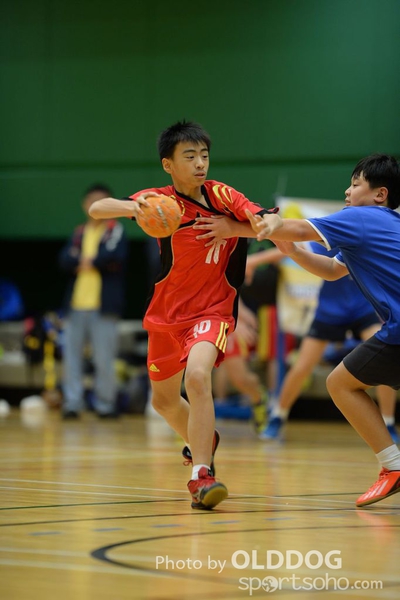Handball (267)