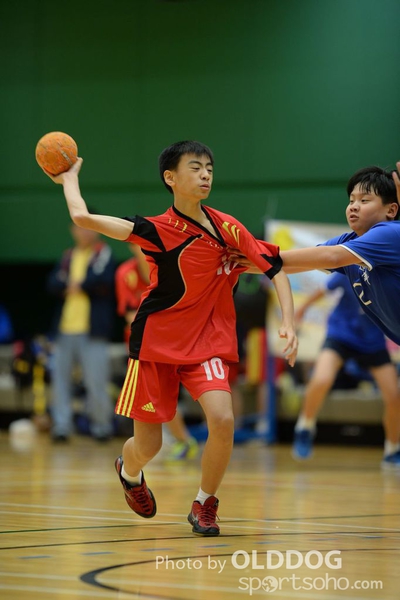 Handball (268)