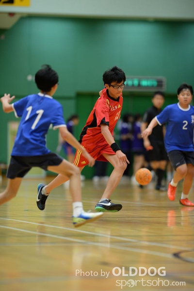Handball (274)