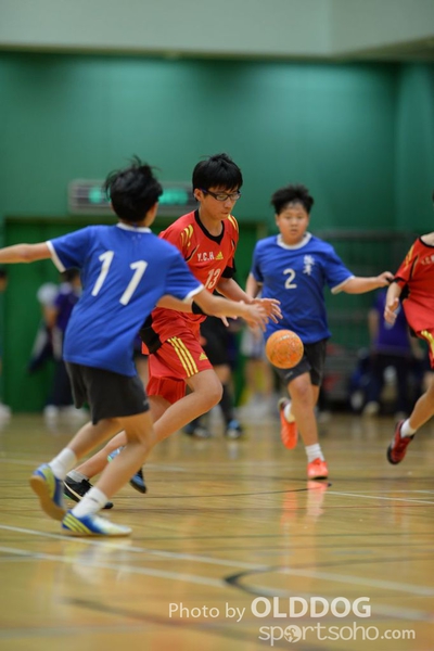 Handball (275)