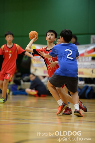 Handball (289)