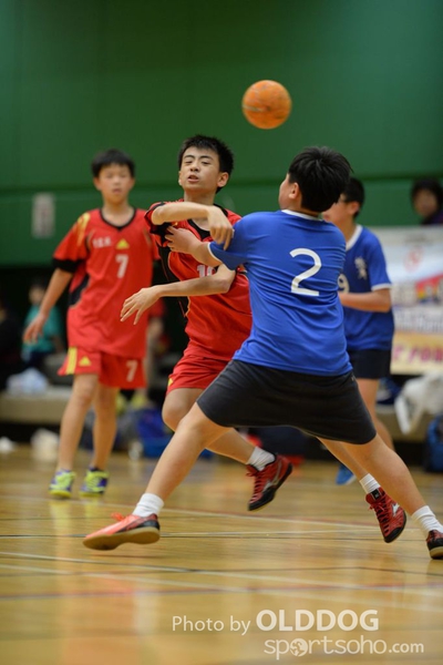 Handball (290)