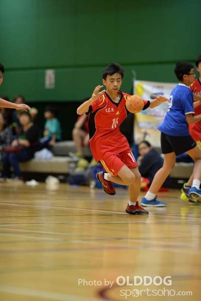 Handball (291)