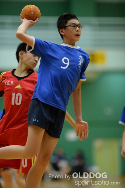 Handball (293)