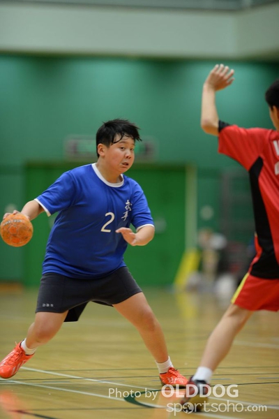 Handball (294)