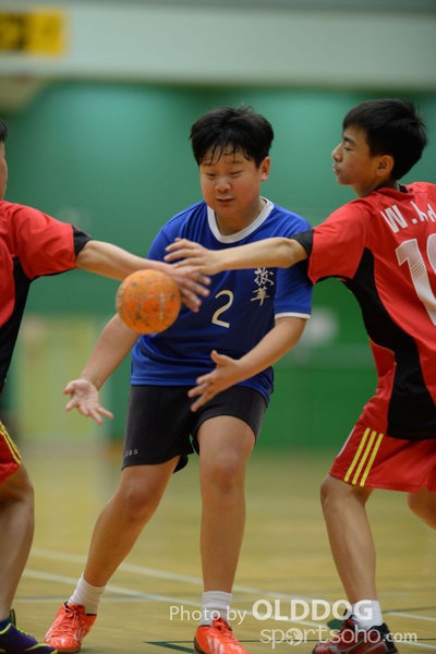 Handball (295)