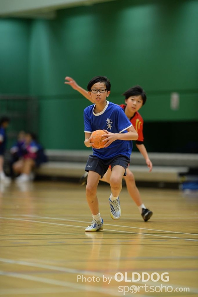 Handball (299)