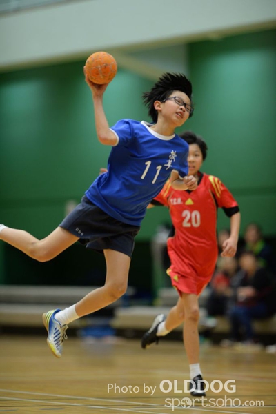 Handball (301)