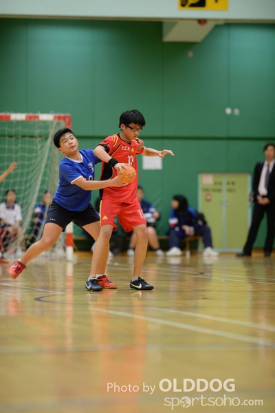 Handball (302)