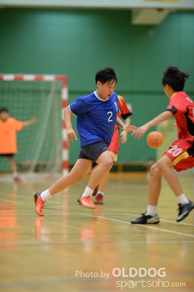 Handball (305)