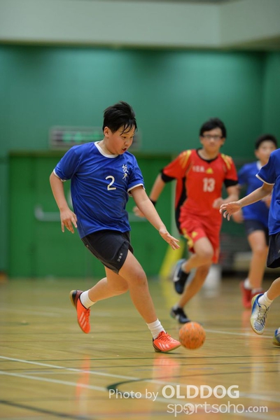 Handball (306)
