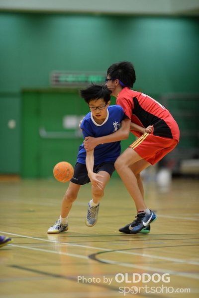 Handball (309)