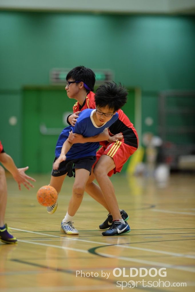 Handball (310)