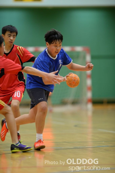 Handball (312)