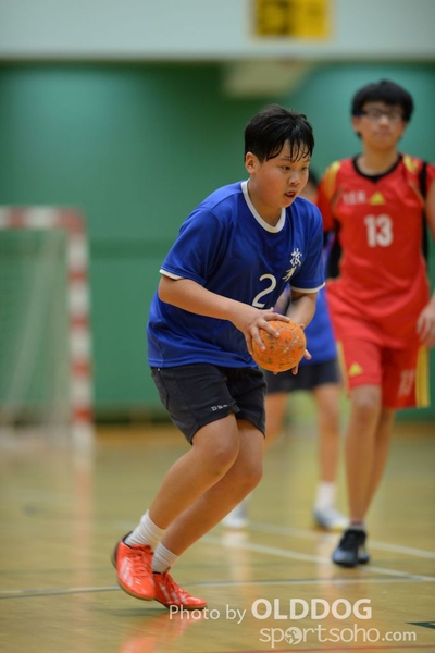 Handball (313)