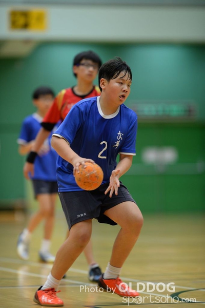 Handball (314)