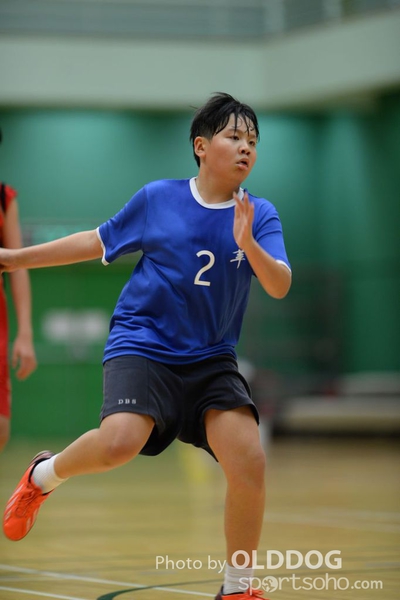 Handball (315)