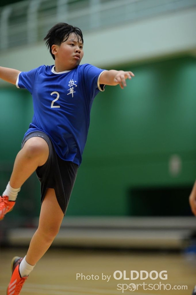 Handball (316)