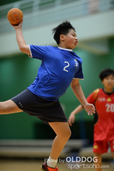 Handball (317)