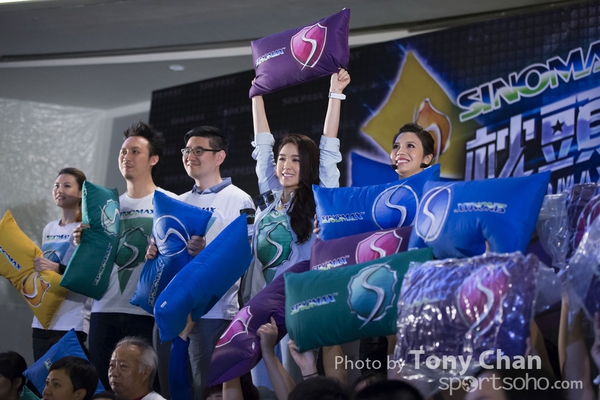 pillow027