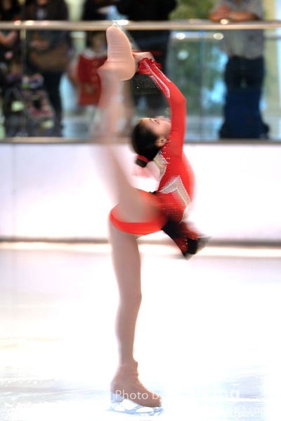 DSC_8411